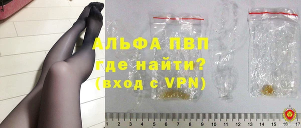 хмурый Алексин
