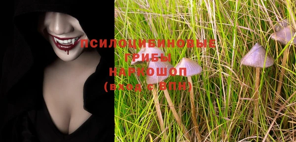 хмурый Алексин