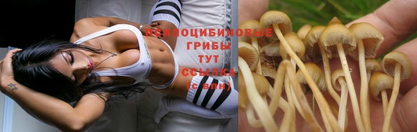 хмурый Алексин
