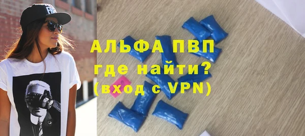 хмурый Алексин