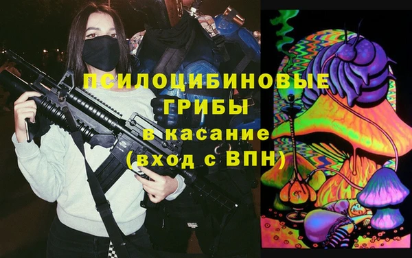 хмурый Алексин