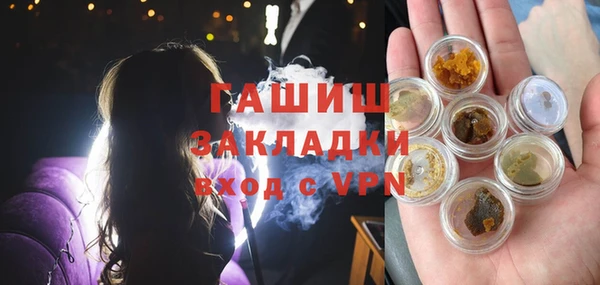 хмурый Алексин