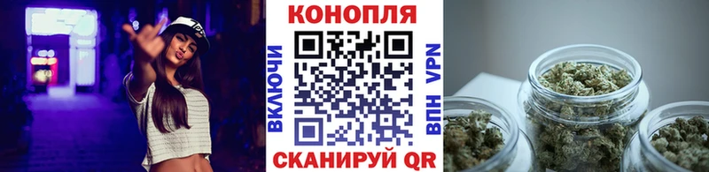 купить наркотик  Вихоревка  Бошки марихуана план 